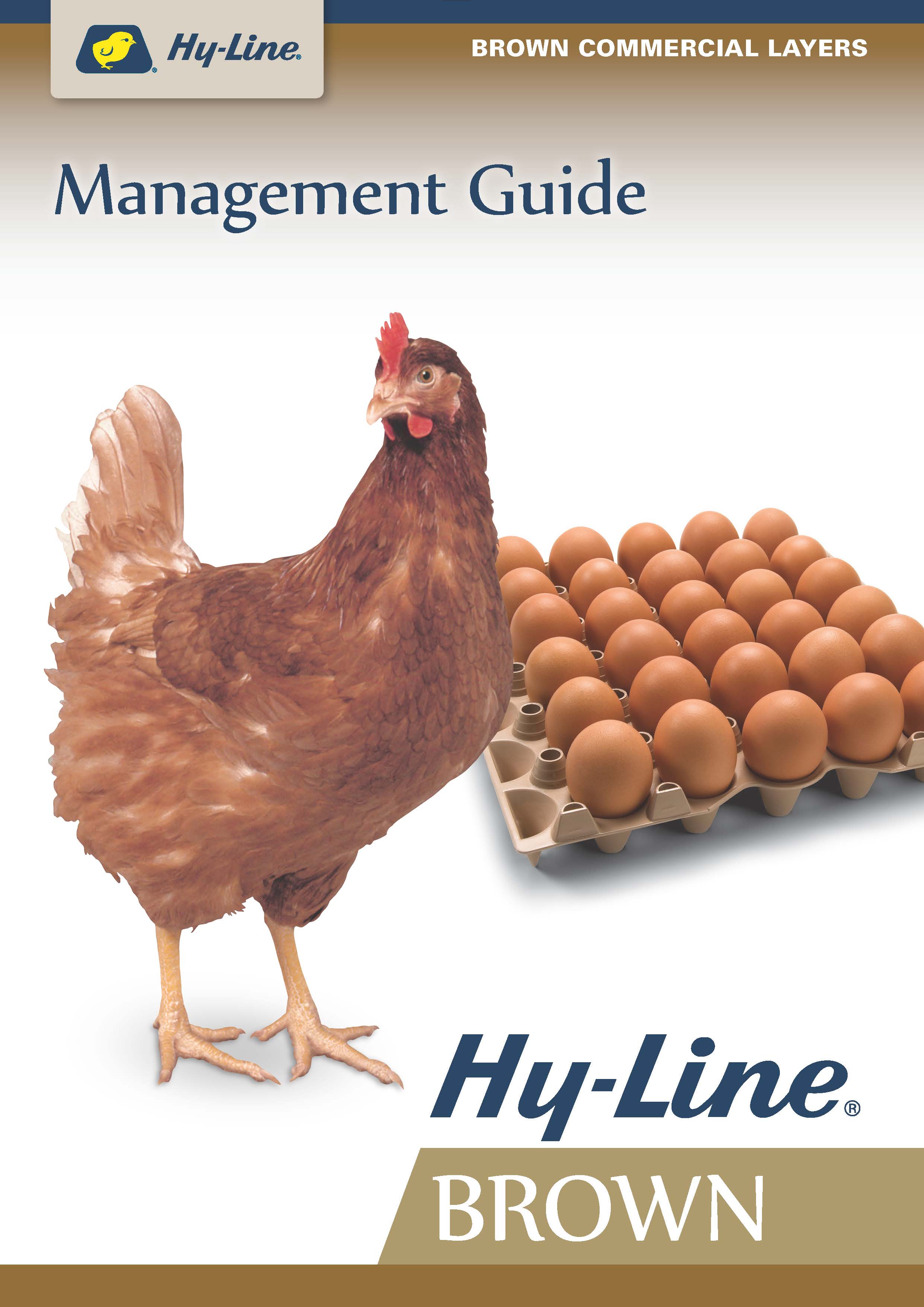Hy-Line Brown: The World's Most Balanced Brown Egg Layer